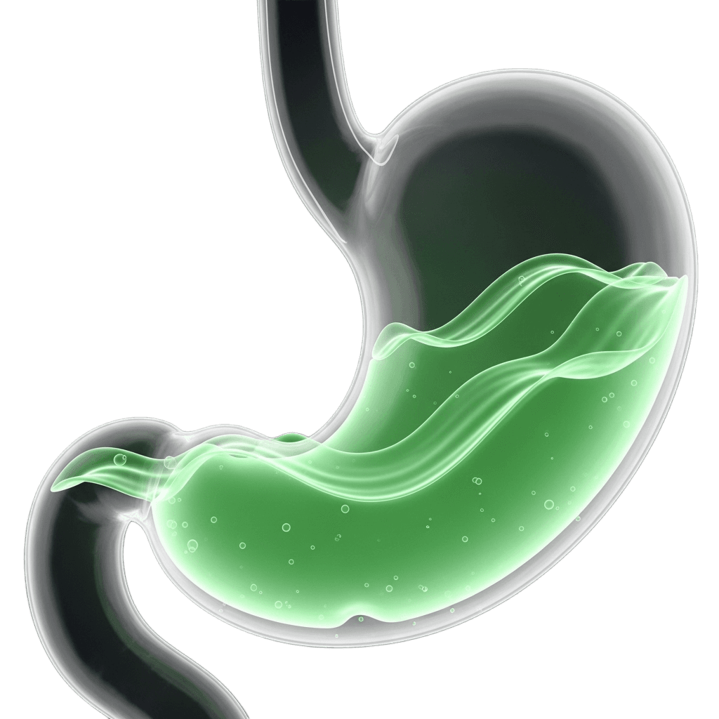 Mucosal Barrier & Regeneration